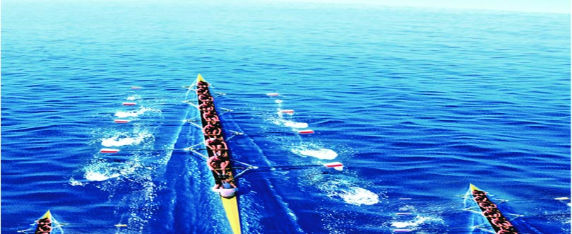 1491383946279032.jpg 未标题-1.jpg